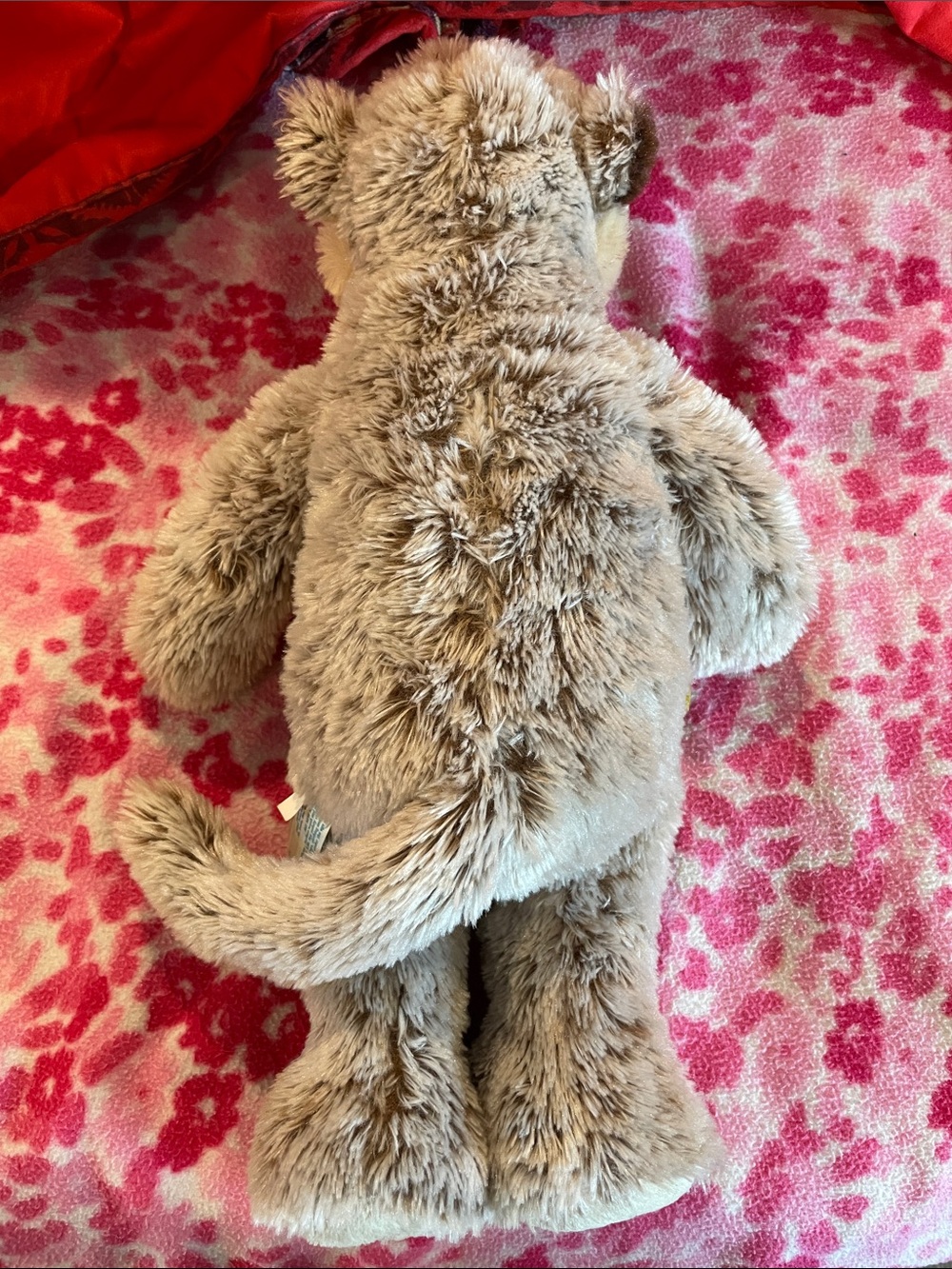 Build-A-Bear Meerkat - Picture 5 of 6
